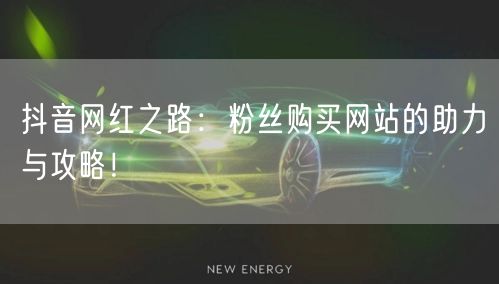 抖音网红之路：粉丝购买网站的助力与攻略！