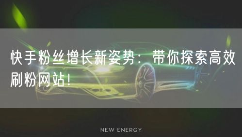 快手粉丝增长新姿势：带你探索高效刷粉网站！