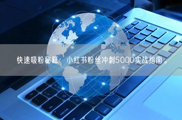 快速吸粉秘籍：小红书粉丝冲刺5000实战指南。