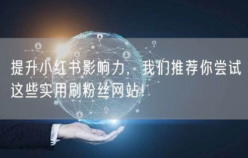 提升小红书影响力，我们推荐你尝试这些实用刷粉丝网站！