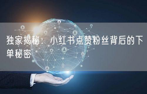 独家揭秘：小红书点赞粉丝背后的下单秘密