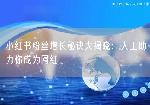 小红书粉丝增长秘诀大揭晓：人工助力你成为网红