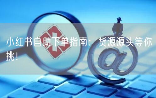 小红书自助下单指南：货源源头等你挑！