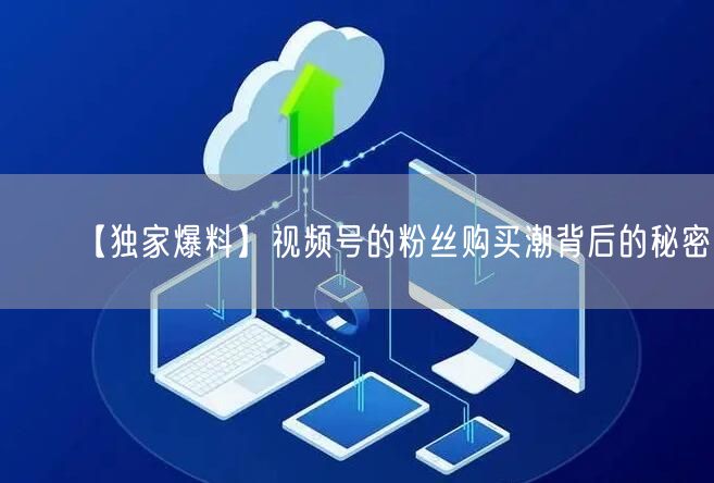 【独家爆料】视频号的粉丝购买潮背后的秘密