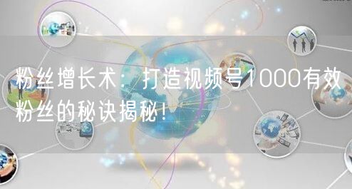 粉丝增长术：打造视频号1000有效粉丝的秘诀揭秘！