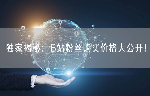独家揭秘：B站粉丝购买价格大公开！