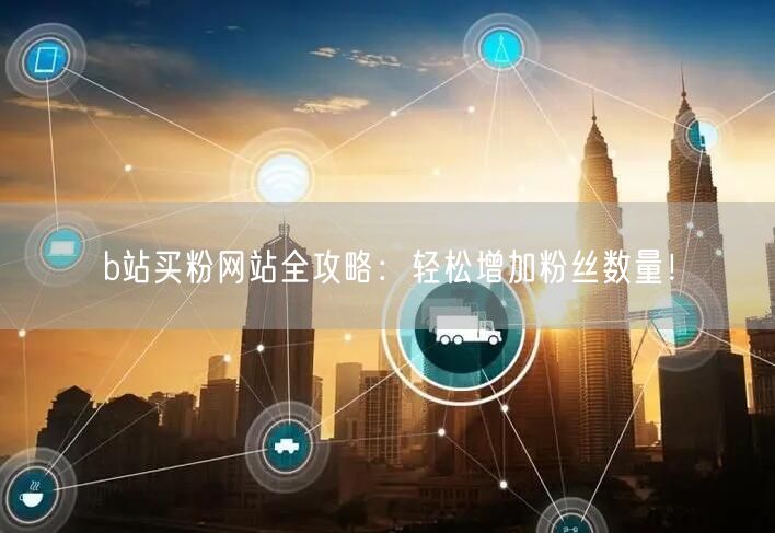 b站买粉网站全攻略：轻松增加粉丝数量！