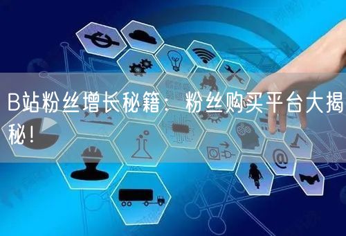 B站粉丝增长秘籍：粉丝购买平台大揭秘！