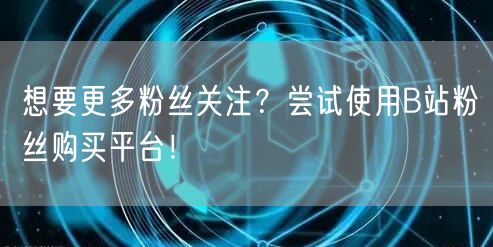 想要更多粉丝关注？尝试使用B站粉丝购买平台！