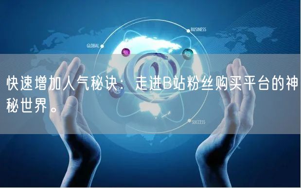 快速增加人气秘诀：走进B站粉丝购买平台的神秘世界。