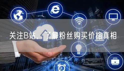 关注B站，了解粉丝购买价格真相