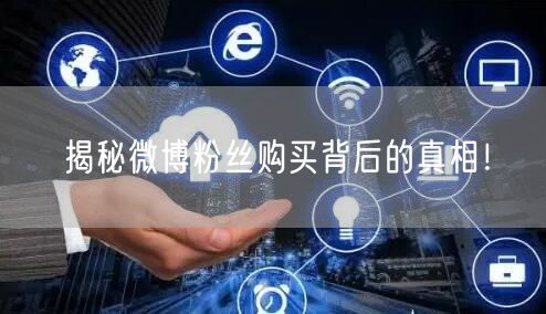 揭秘微博粉丝购买背后的真相！