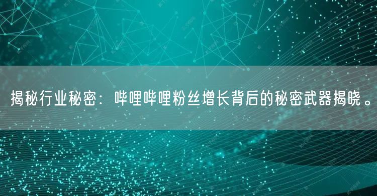 揭秘行业秘密：哔哩哔哩粉丝增长背后的秘密武器揭晓。
