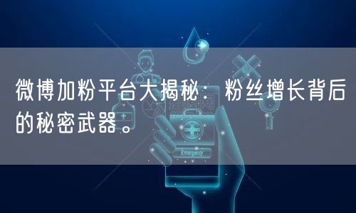 微博加粉平台大揭秘：粉丝增长背后的秘密武器。