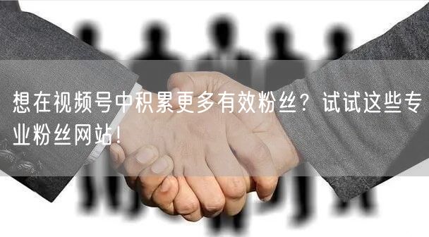 想在视频号中积累更多有效粉丝？试试这些专业粉丝网站！