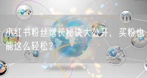 小红书粉丝增长秘诀大公开，买粉也能这么轻松？
