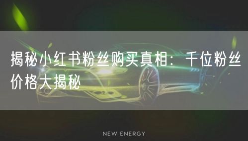 揭秘小红书粉丝购买真相：千位粉丝价格大揭秘