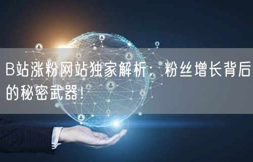 B站涨粉网站独家解析：粉丝增长背后的秘密武器！