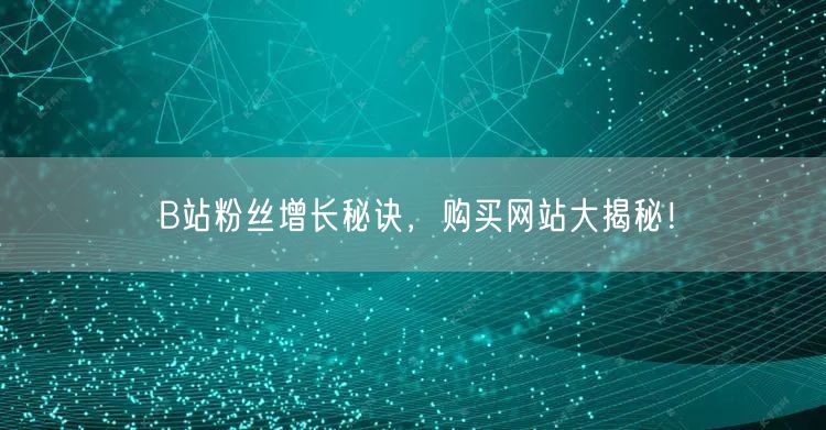 B站粉丝增长秘诀，购买网站大揭秘！