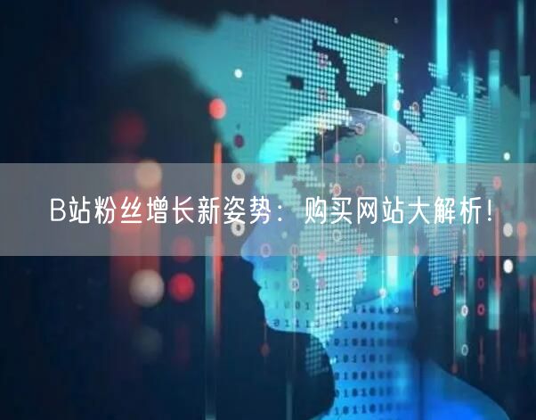 B站粉丝增长新姿势：购买网站大解析！