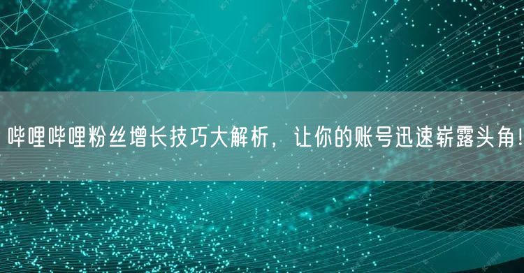 哔哩哔哩粉丝增长技巧大解析，让你的账号迅速崭露头角！