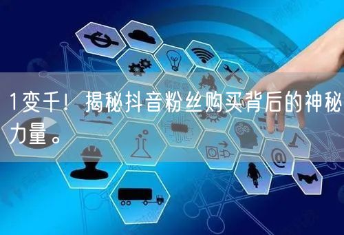 1变千！揭秘抖音粉丝购买背后的神秘力量。