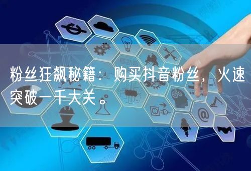 粉丝狂飙秘籍：购买抖音粉丝，火速突破一千大关。