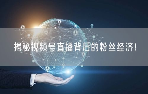 揭秘视频号直播背后的粉丝经济！