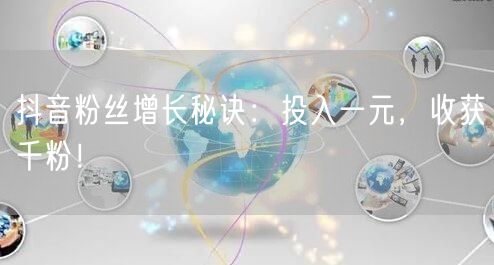 抖音粉丝增长秘诀：投入一元，收获千粉！