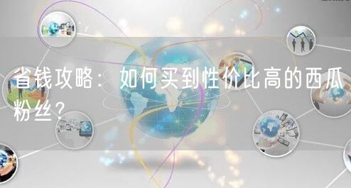 省钱攻略：如何买到性价比高的西瓜粉丝？