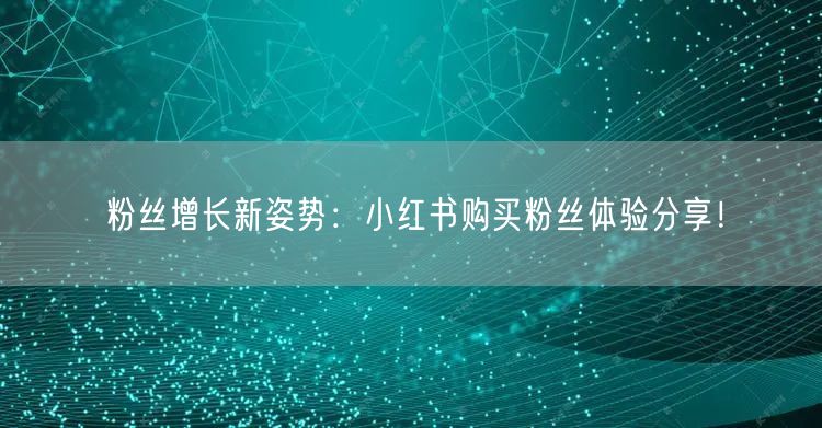 粉丝增长新姿势：小红书购买粉丝体验分享！