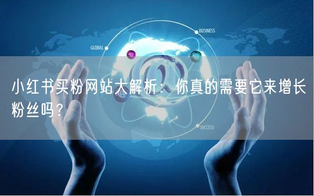 小红书买粉网站大解析：你真的需要它来增长粉丝吗？