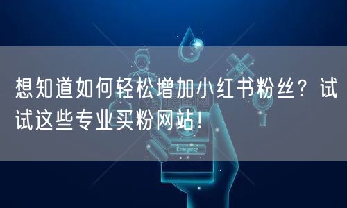 想知道如何轻松增加小红书粉丝？试试这些专业买粉网站！