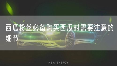 西瓜粉丝必备购买西瓜时需要注意的细节