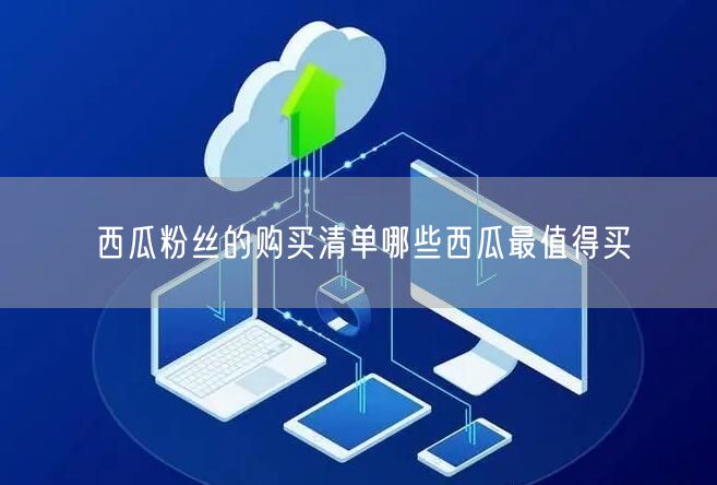 西瓜粉丝的购买清单哪些西瓜最值得买