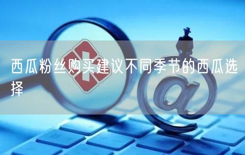 西瓜粉丝购买建议不同季节的西瓜选择