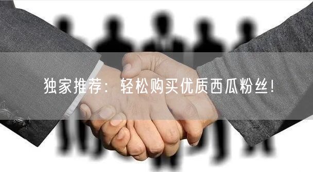 独家推荐：轻松购买优质西瓜粉丝！