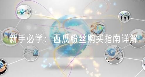 新手必学：西瓜粉丝购买指南详解