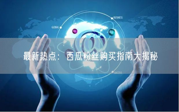 最新热点：西瓜粉丝购买指南大揭秘