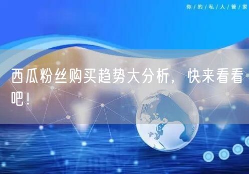 西瓜粉丝购买趋势大分析，快来看看吧！