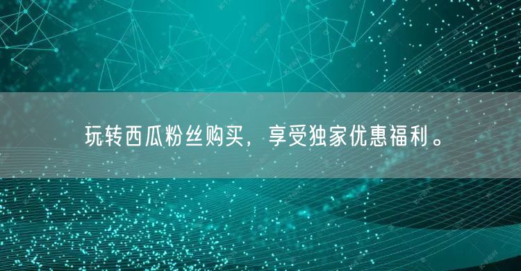 玩转西瓜粉丝购买，享受独家优惠福利。