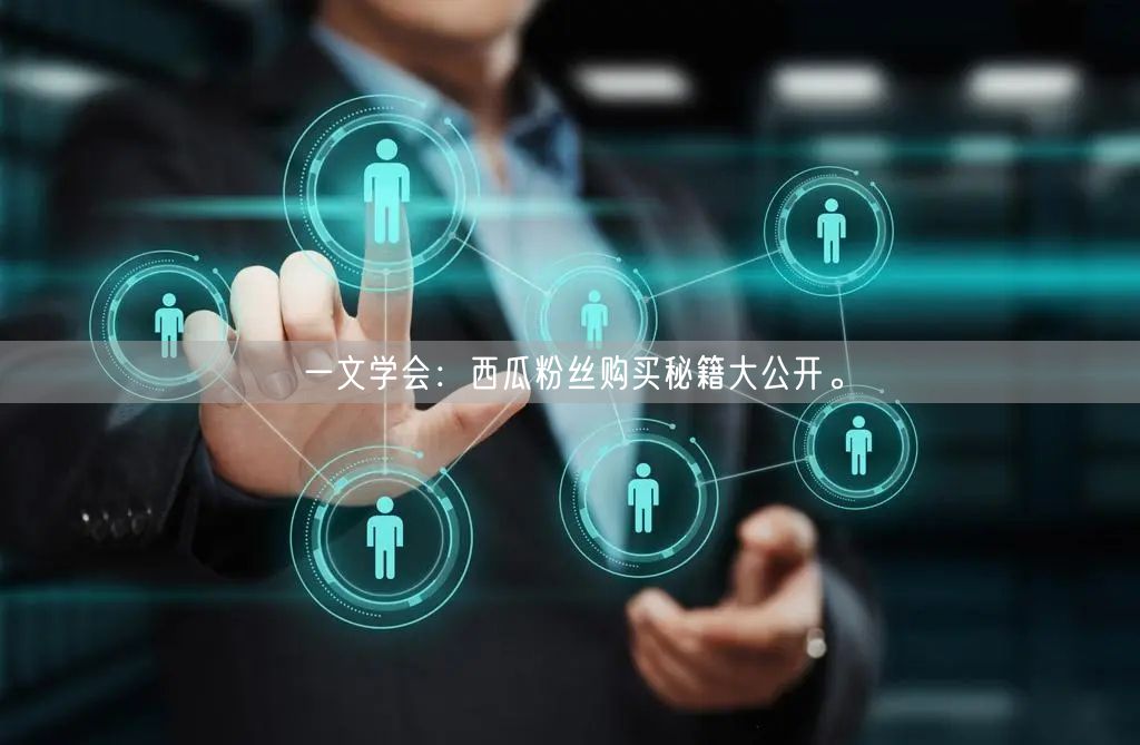 一文学会：西瓜粉丝购买秘籍大公开。