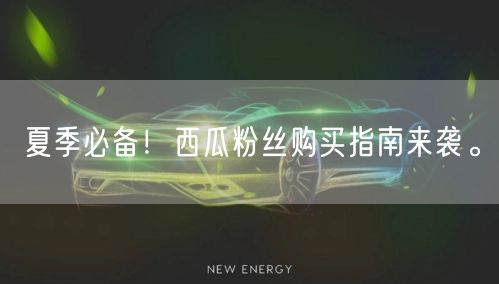 夏季必备！西瓜粉丝购买指南来袭。