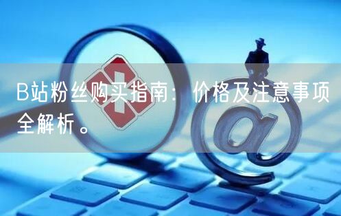 B站粉丝购买指南：价格及注意事项全解析。