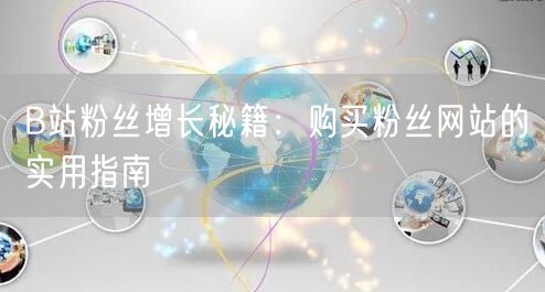 B站粉丝增长秘籍：购买粉丝网站的实用指南