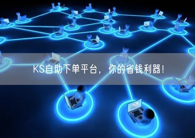 KS自助下单平台，你的省钱利器！