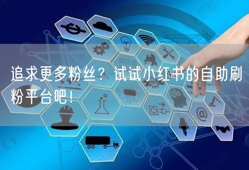 追求更多粉丝？试试小红书的自助刷粉平台吧！