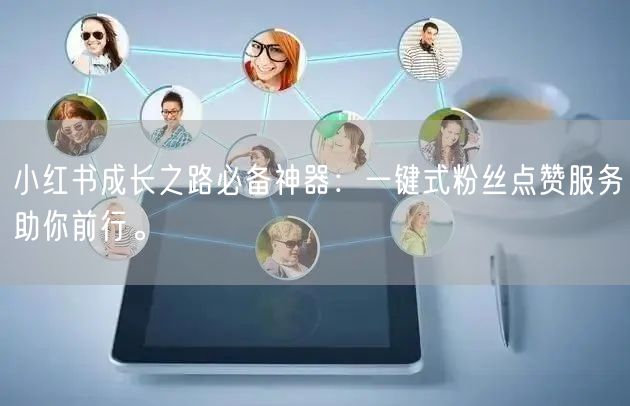 小红书成长之路必备神器：一键式粉丝点赞服务助你前行。