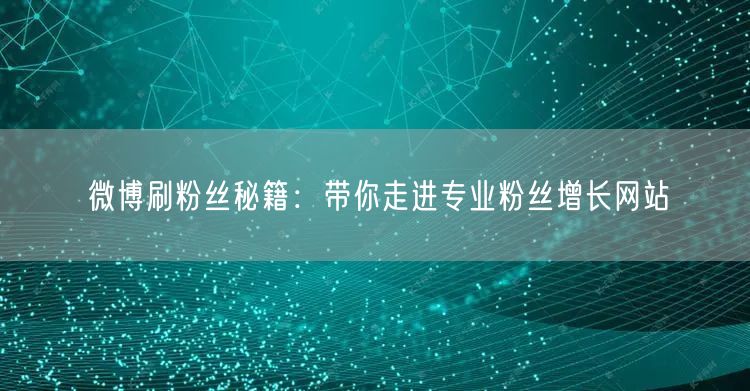 微博刷粉丝秘籍：带你走进专业粉丝增长网站