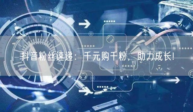 抖音粉丝速递：千元购千粉，助力成长!